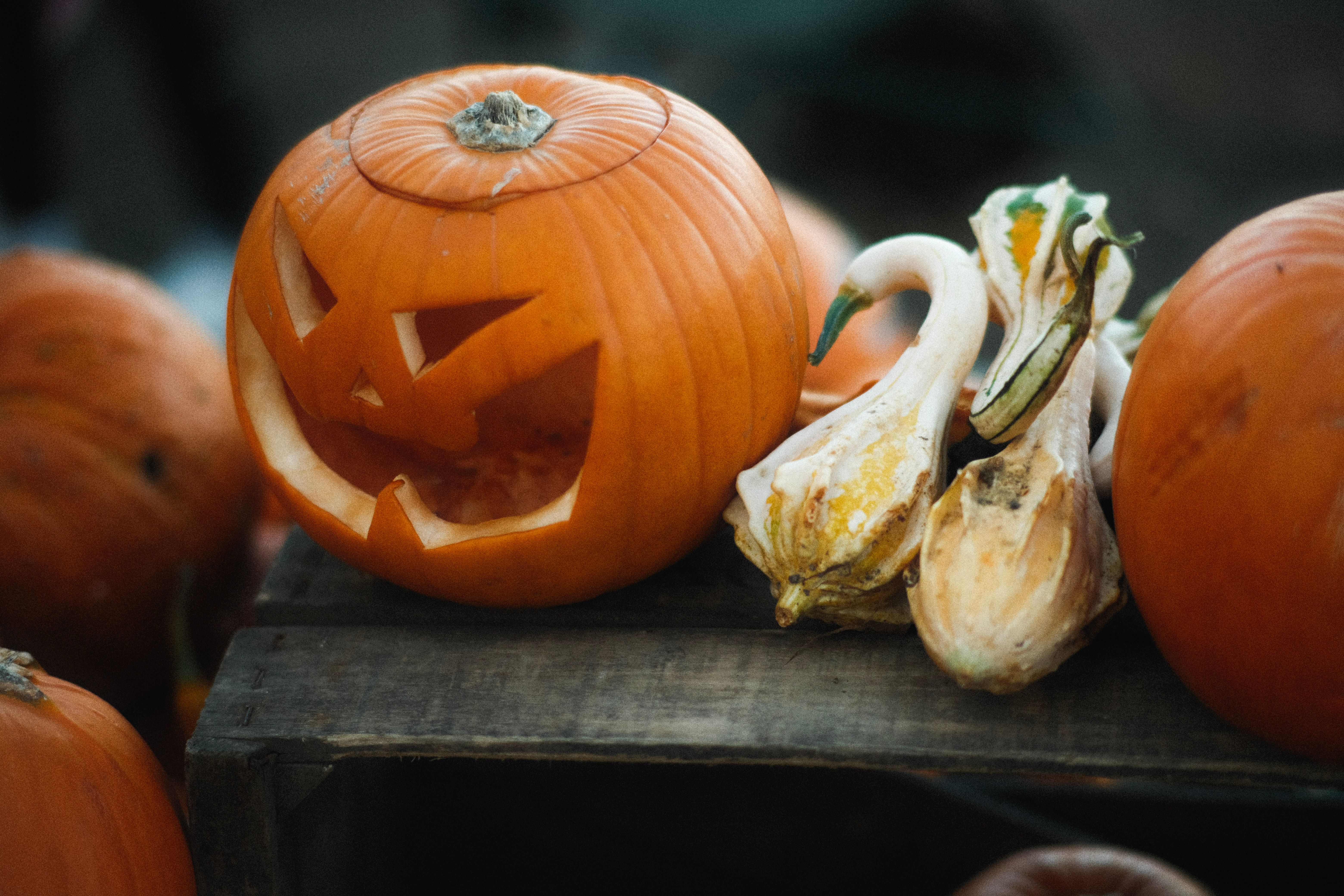 Calabaza tallada con cara sonriente y calabazas ornamentales sobre superficie de madera.