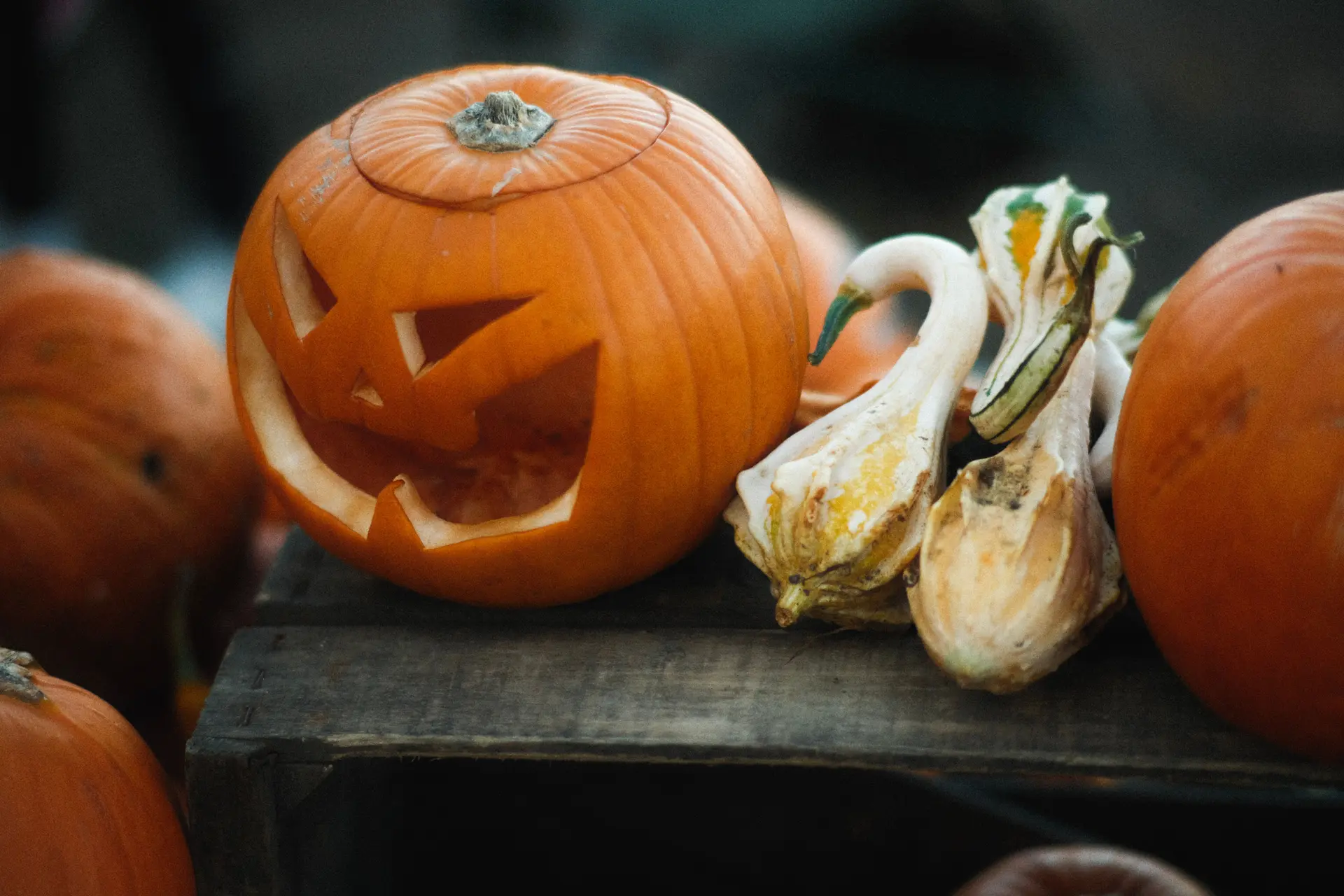 Samaín: el Halloween gallego que no vino de América