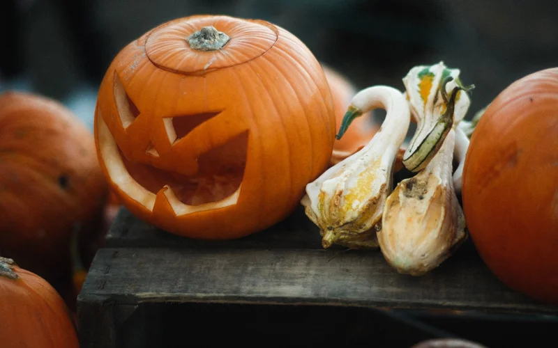 Calabaza tallada con cara sonriente y calabazas ornamentales sobre superficie de madera.