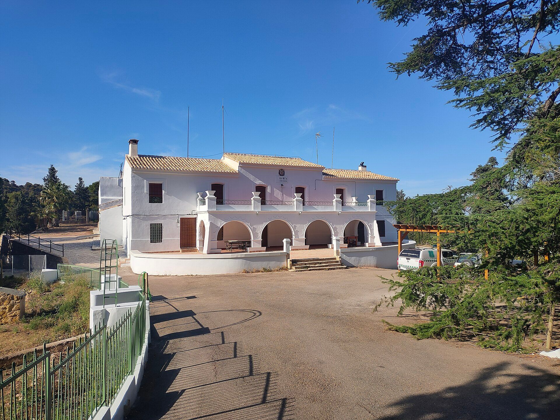 Sierra Espuña y los olivos
