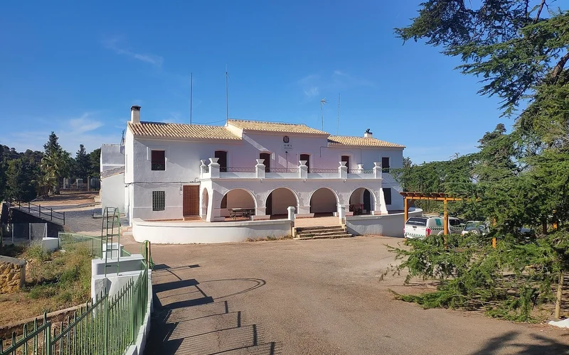 Sierra Espuña y los olivos