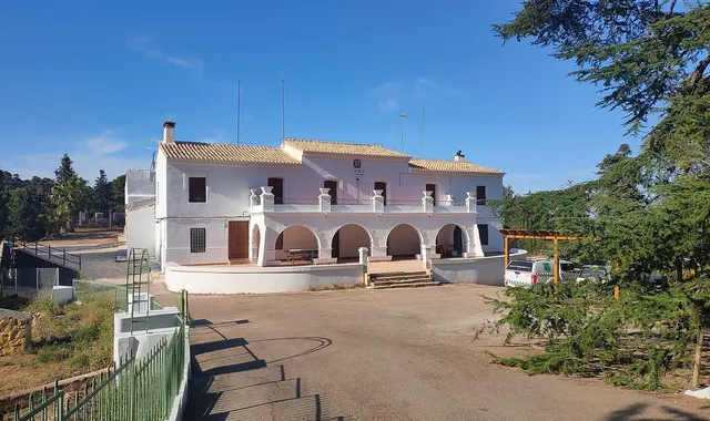 Sierra Espuña et les oliviers