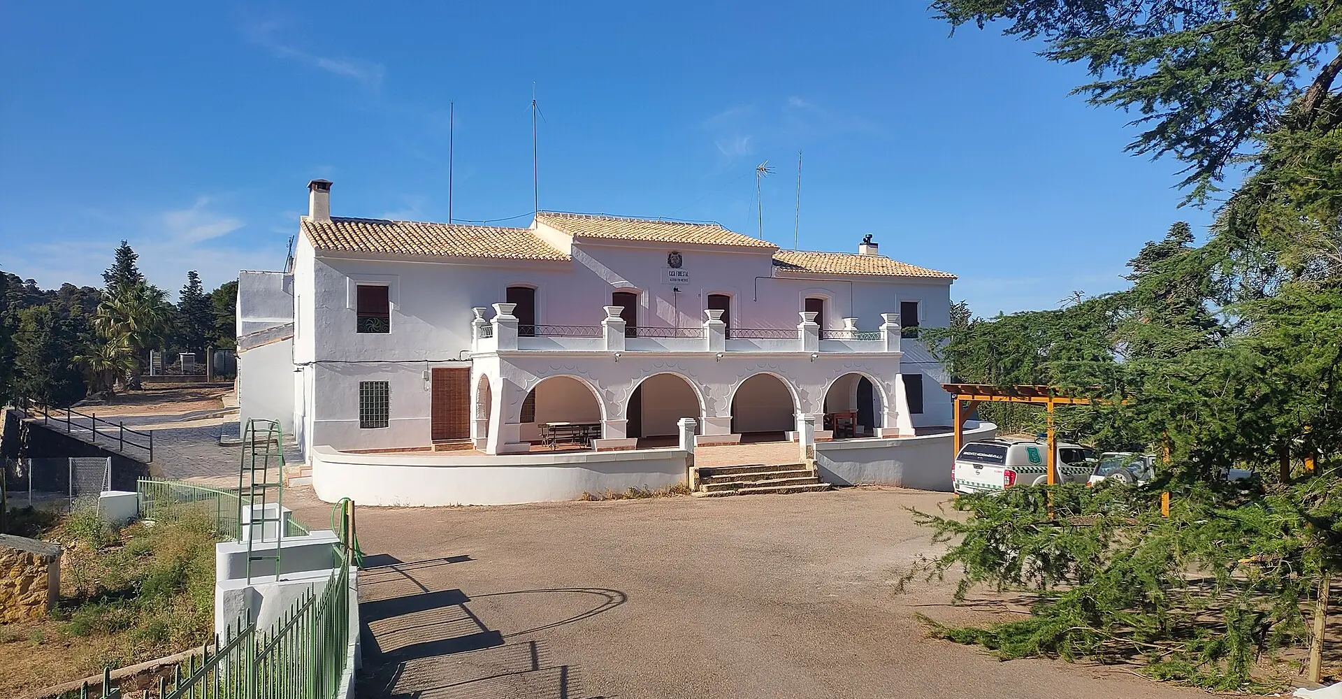 Sierra Espuña et les oliviers