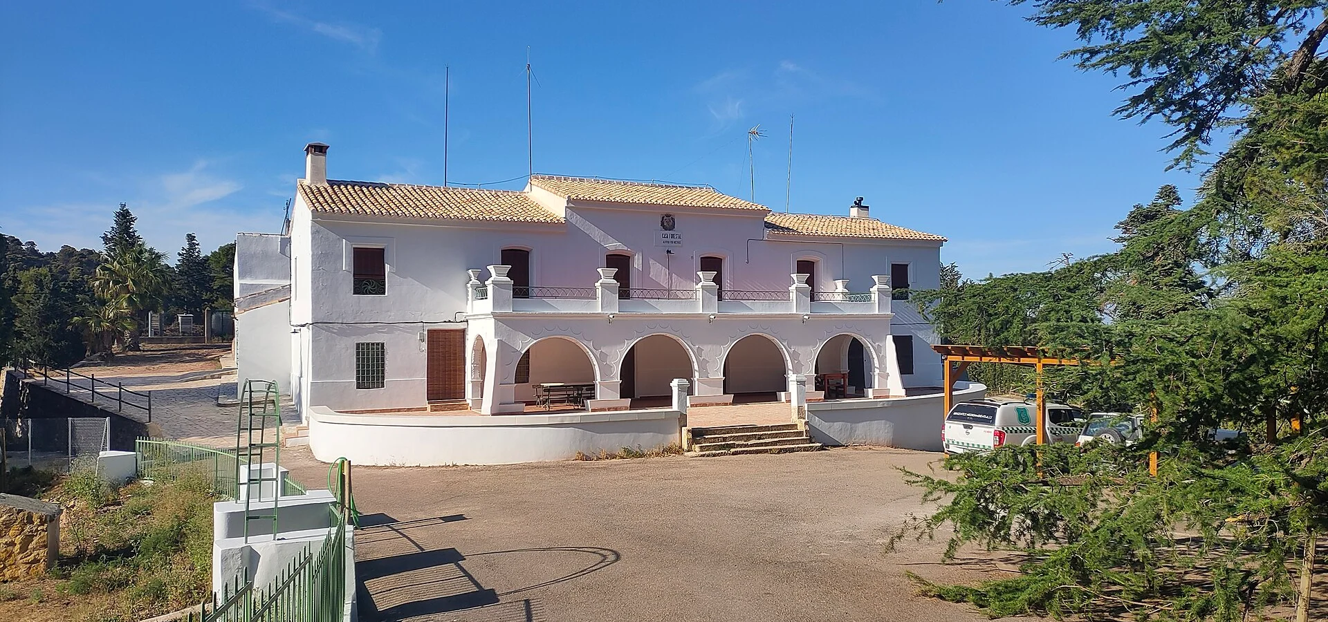 Sierra Espuña and the olive trees