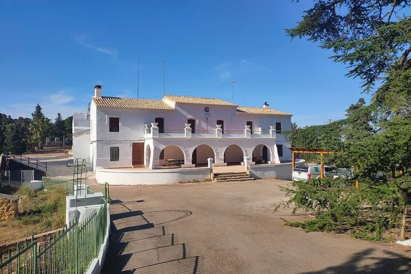 Sierra Espuña y los olivos