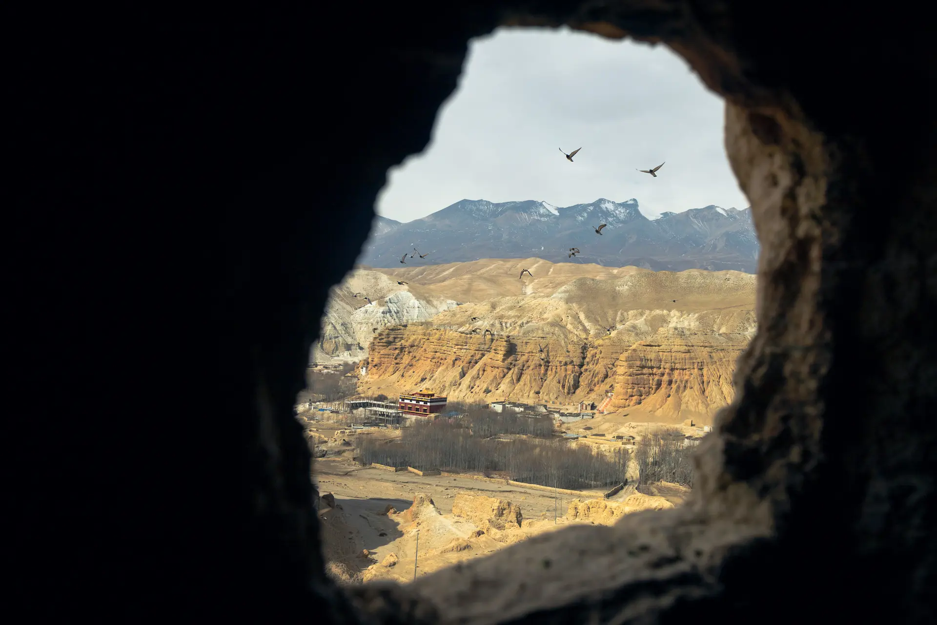 El sótano de las golondrinas: cuando el abismo respira - imagen principal