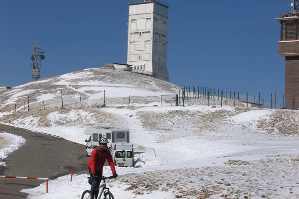 mont-ventoux-bestia-provenza