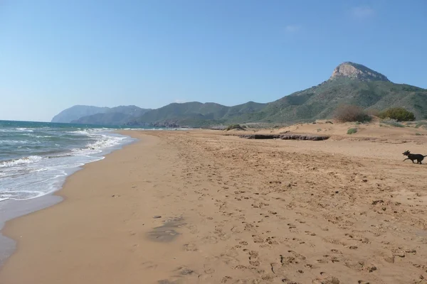 Calblanque y costa de Cartagena