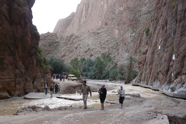 Gargantas del Todra y Dadès