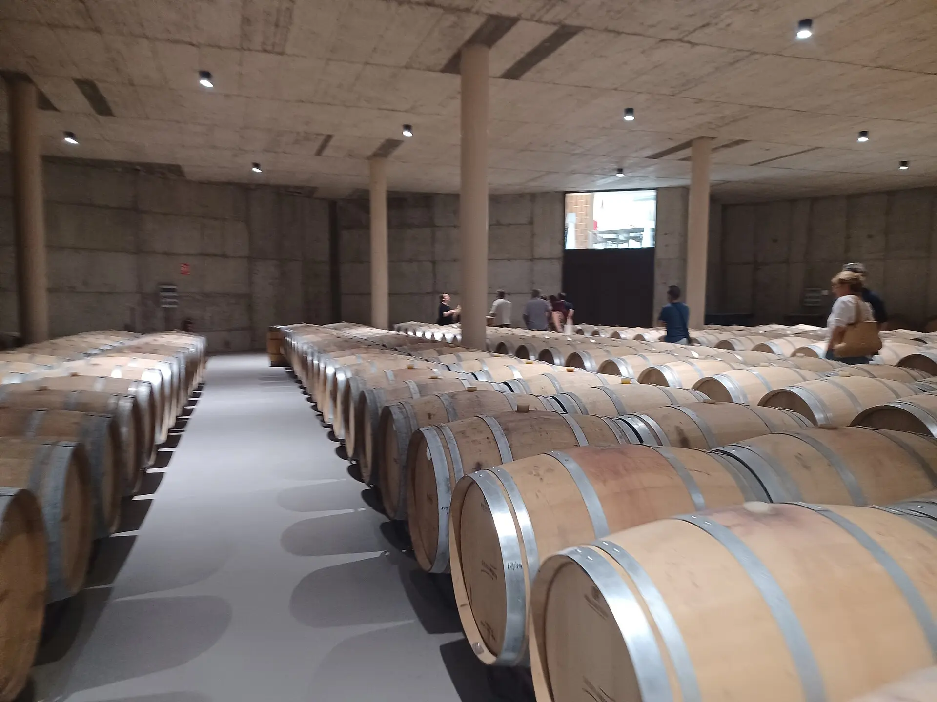 Requena, Ciudad del Vino 2026