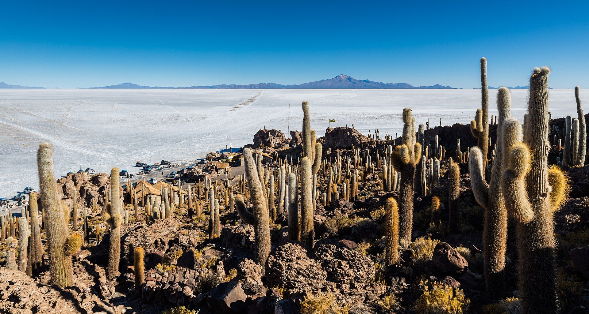 Vista panorámica del Salar de Uyuni desde la Isla del Pescado, con cactus y vehículos.