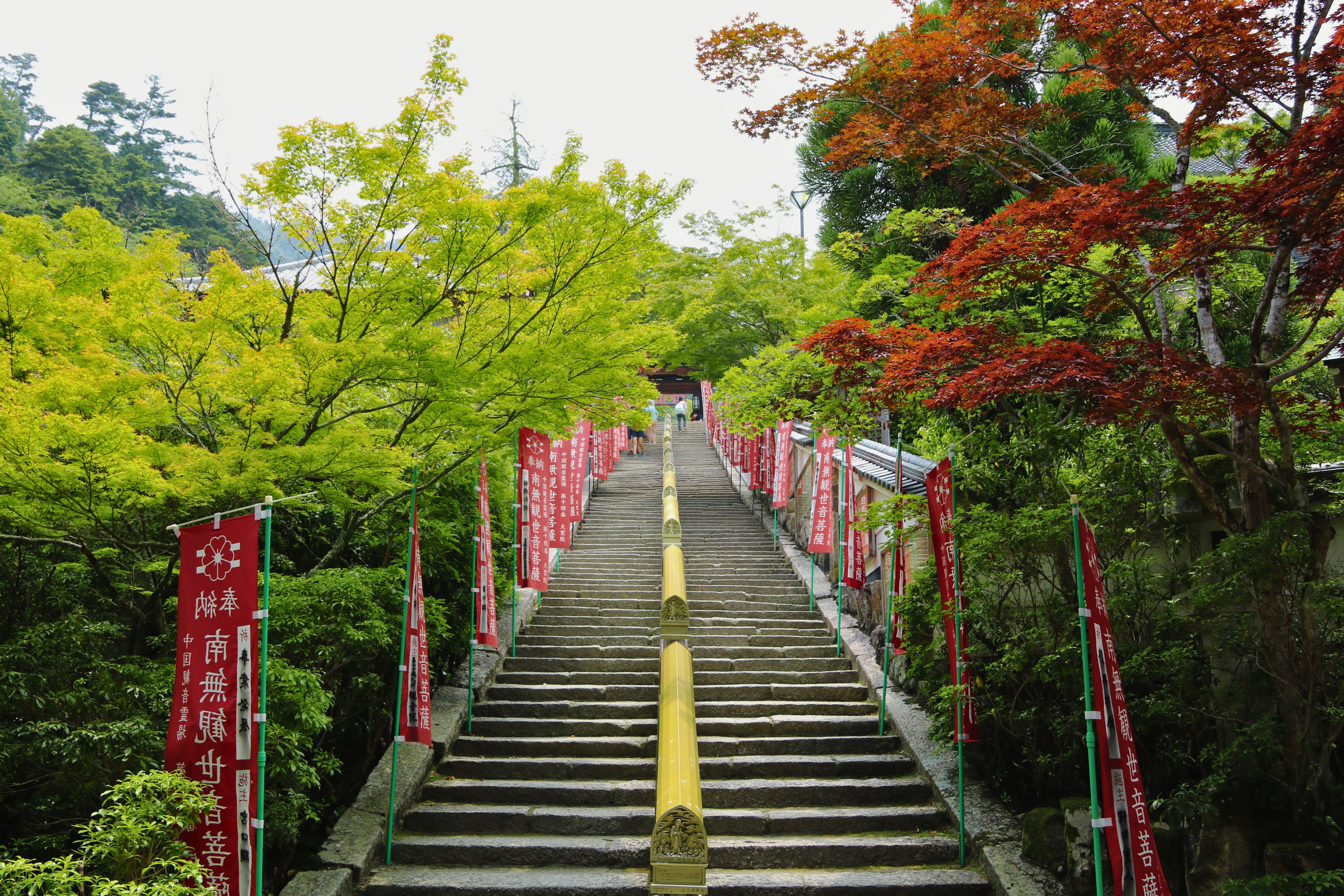 Escalera de piedra ascendente flanqueada por árboles con follaje verde y rojo, y estandartes rojos.
