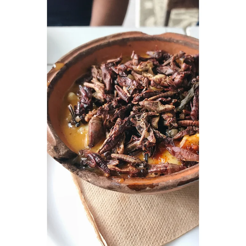 Chapulines with melt cheese
