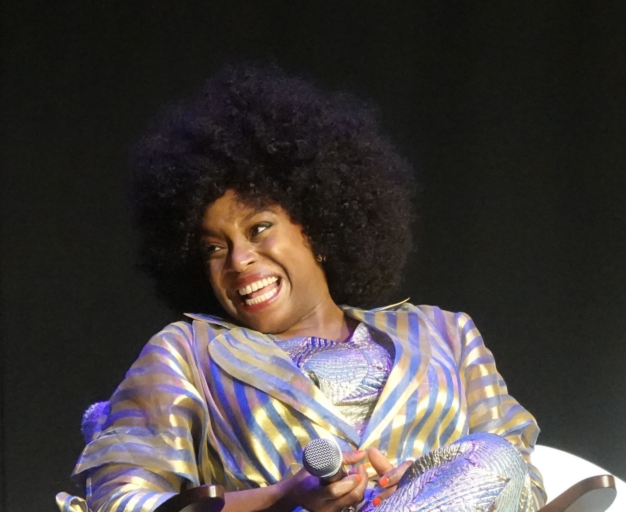 Chimamanda Ngozi Adichie, autor