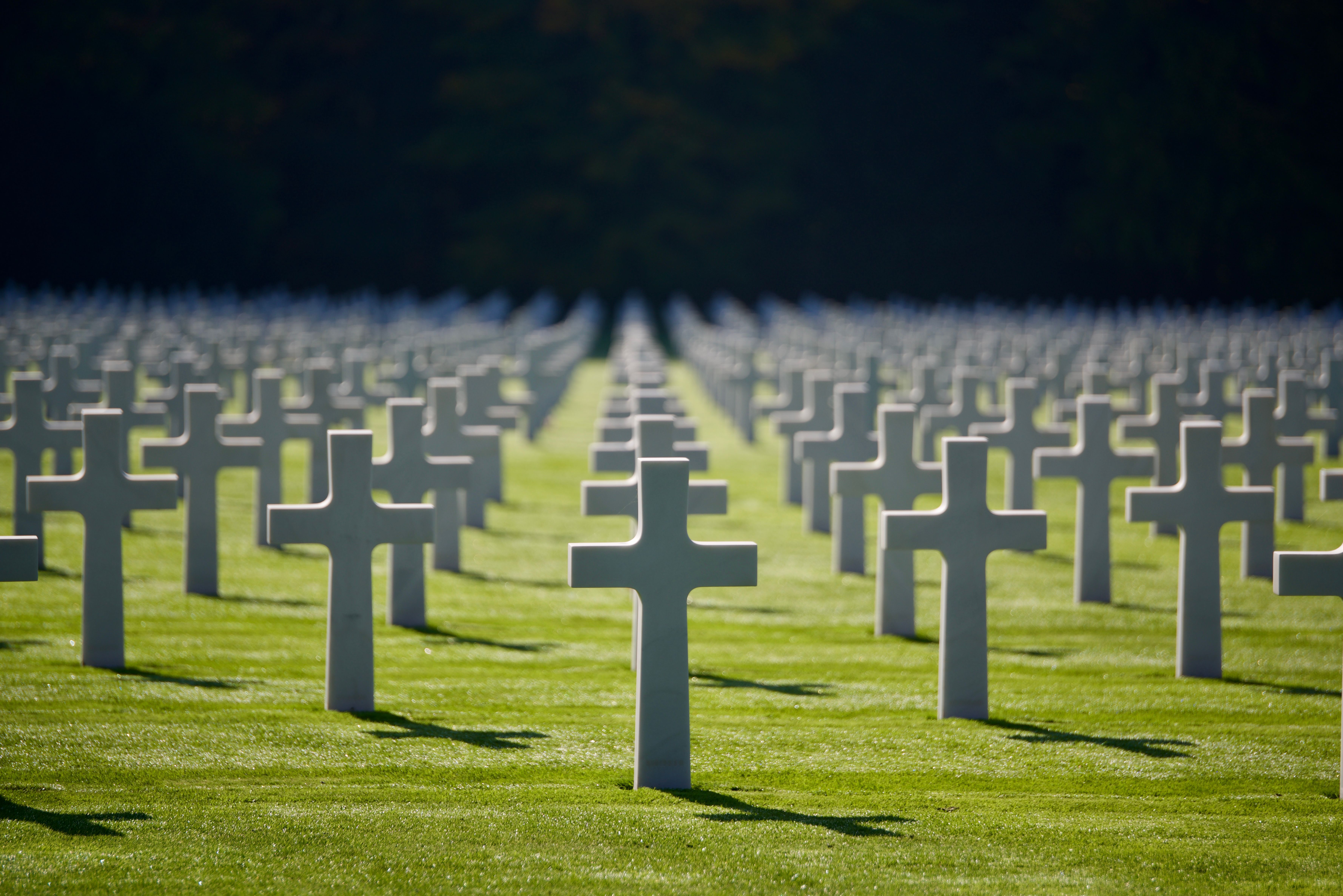 Hileras de cruces blancas idénticas en un cementerio sobre césped verde bajo el sol.