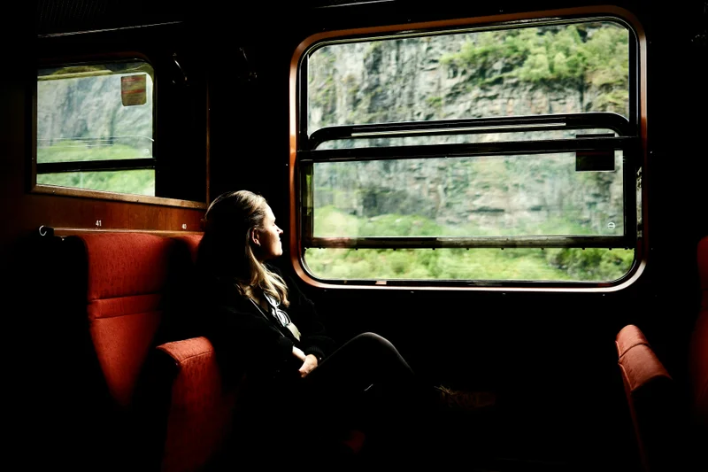 Una persona sentada en un tren oscuro mirando por la ventana un paisaje montañoso verde.
