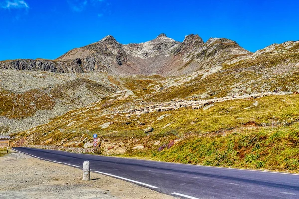 Passo del Gavia: el puerto salvaje