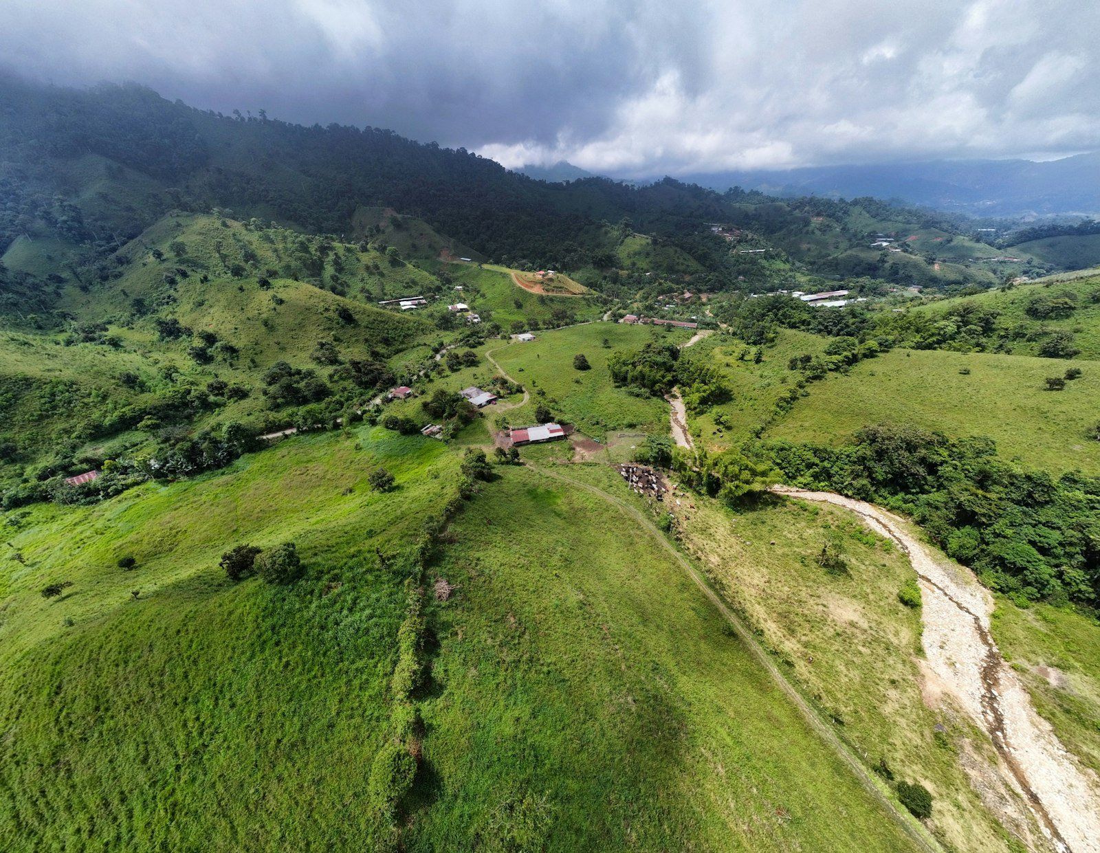 an aerial view of a lush green hillside