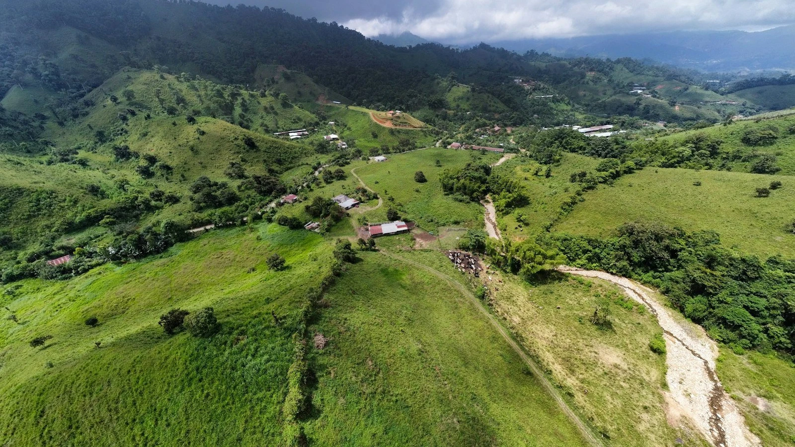 an aerial view of a lush green hillside