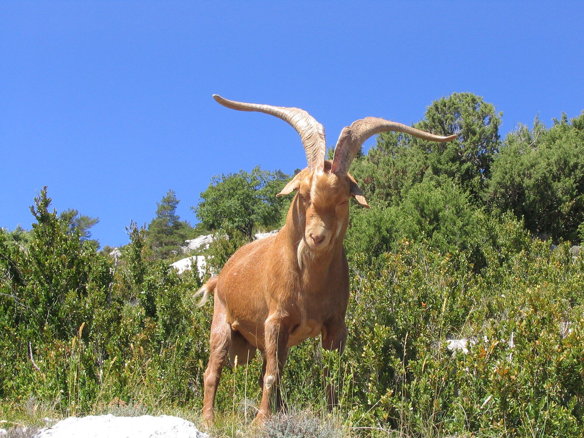 Gorges du Verdon