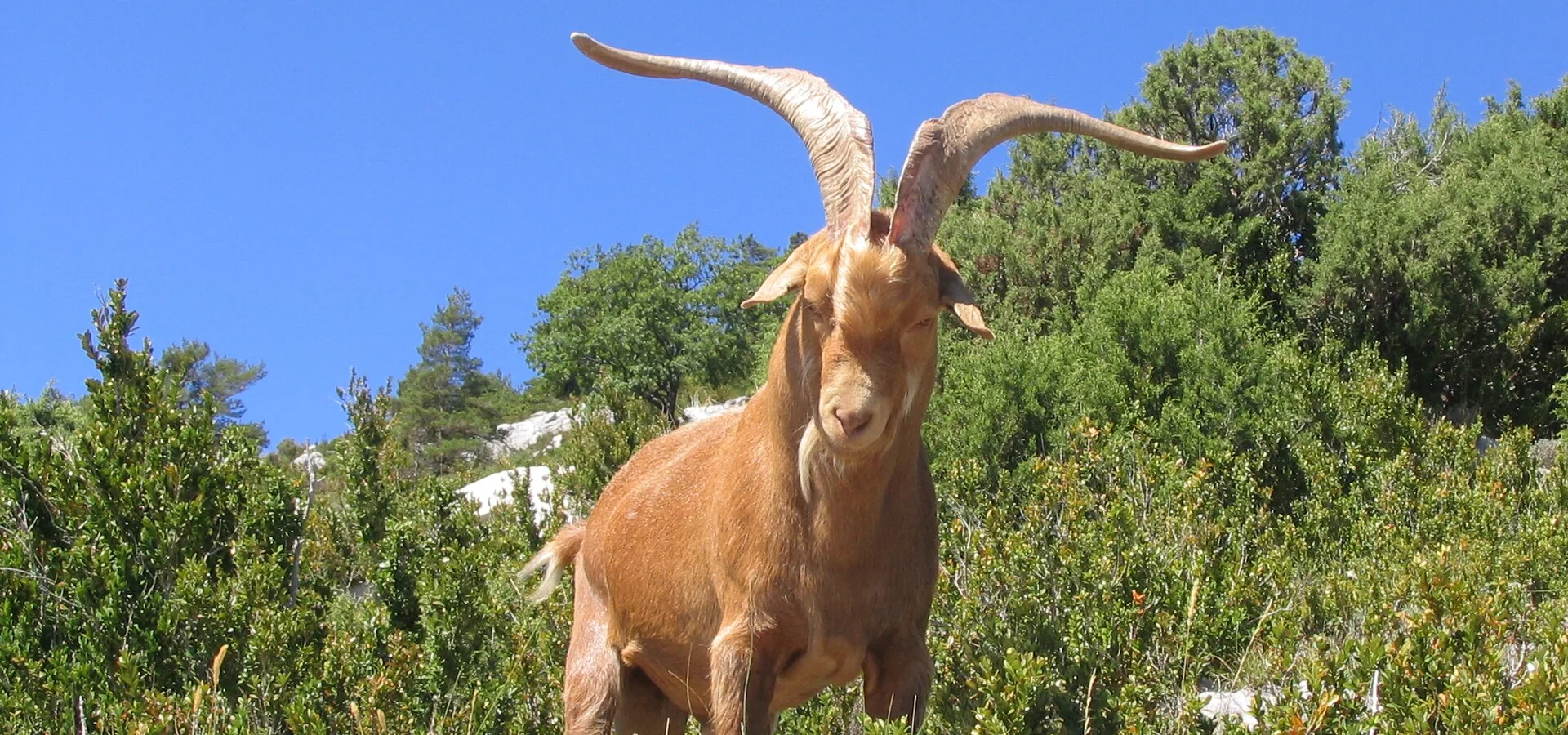 Gorges du Verdon