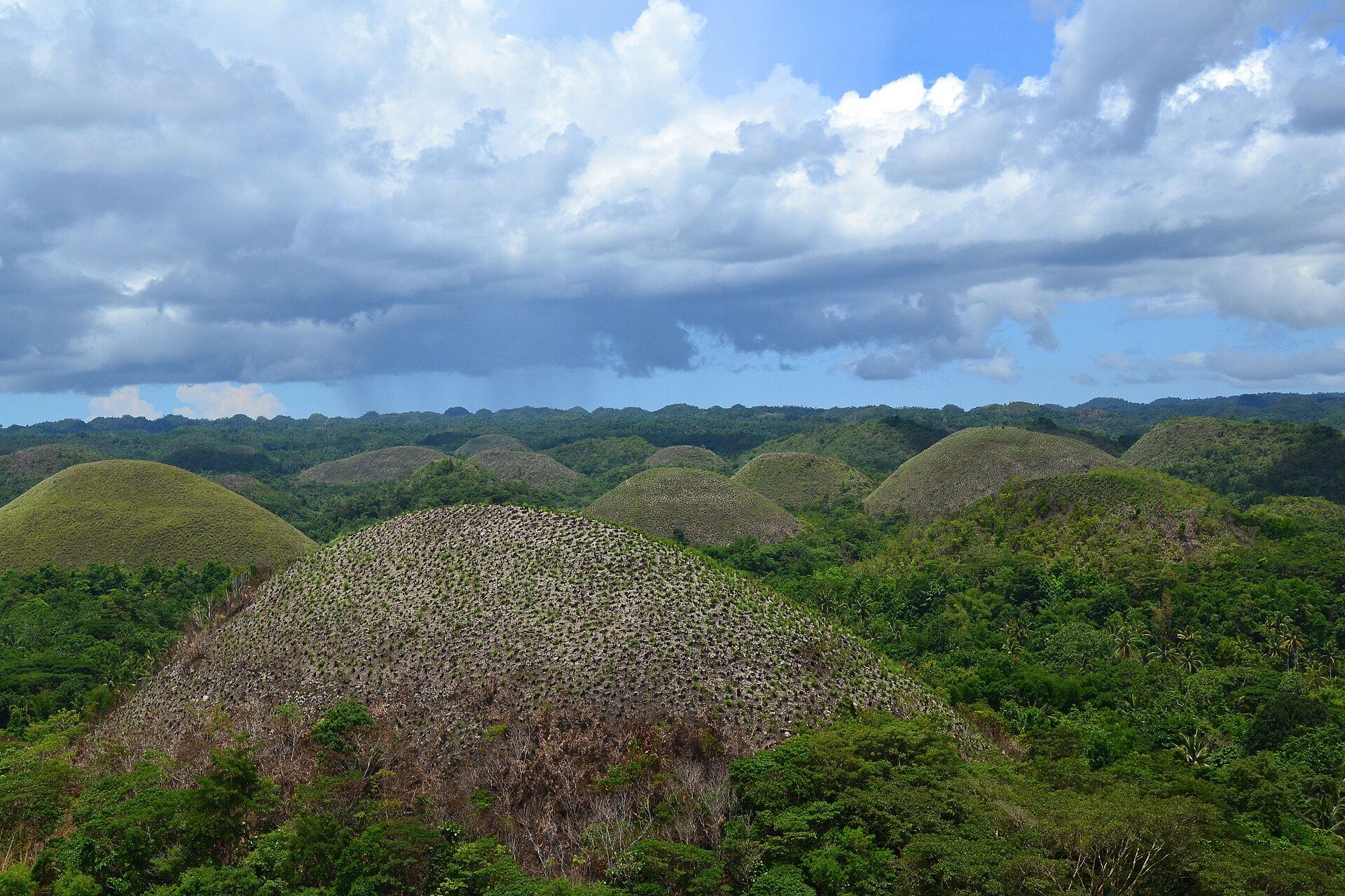 Vista panorámica de las Chocolate Hills, colinas cónicas cubiertas de vegetación bajo un cielo nublado.