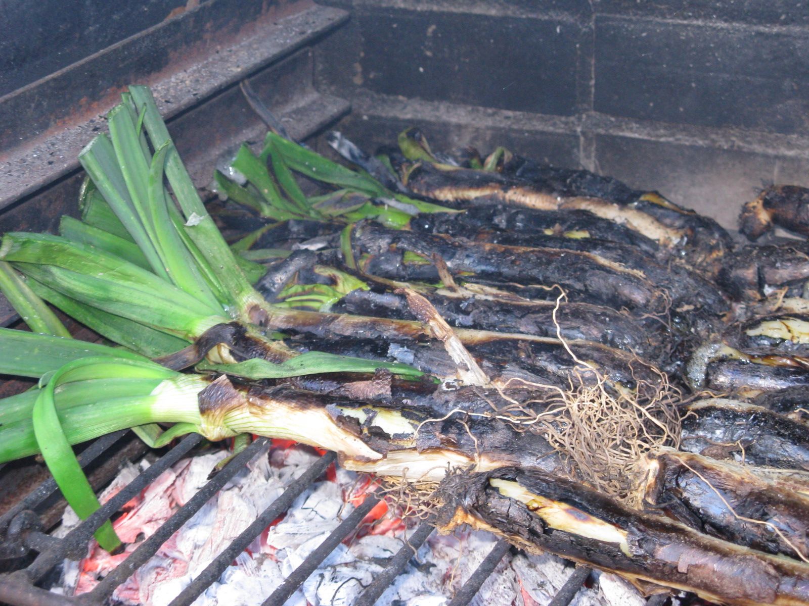 Calçots