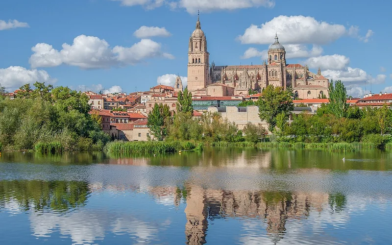 Vista de la Catedral de Salamanca y edificios históricos reflejados en el río Tormes, con vegetación ribereña y cielo azul con nubes