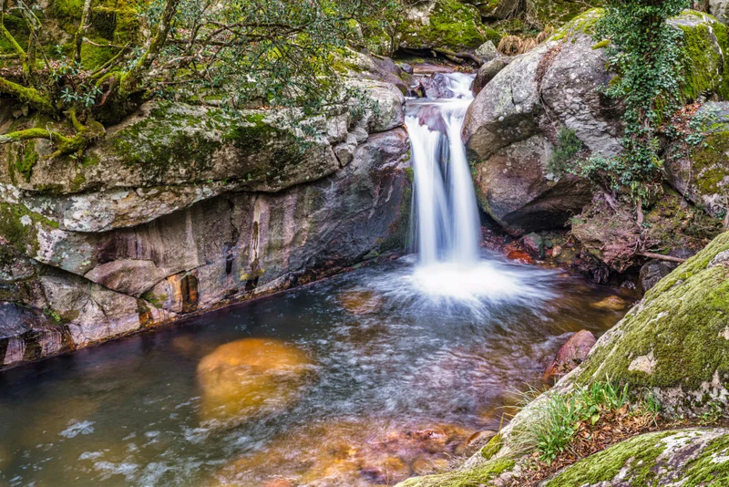 Cascada de agua cayendo sobre una poza rodeada de rocas cubiertas de musgo y vegetación.