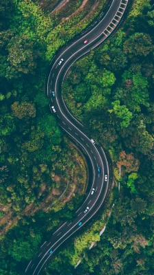 Winding road through the forest of the Sierra de Espadán, with perfect curves for motorbikes.