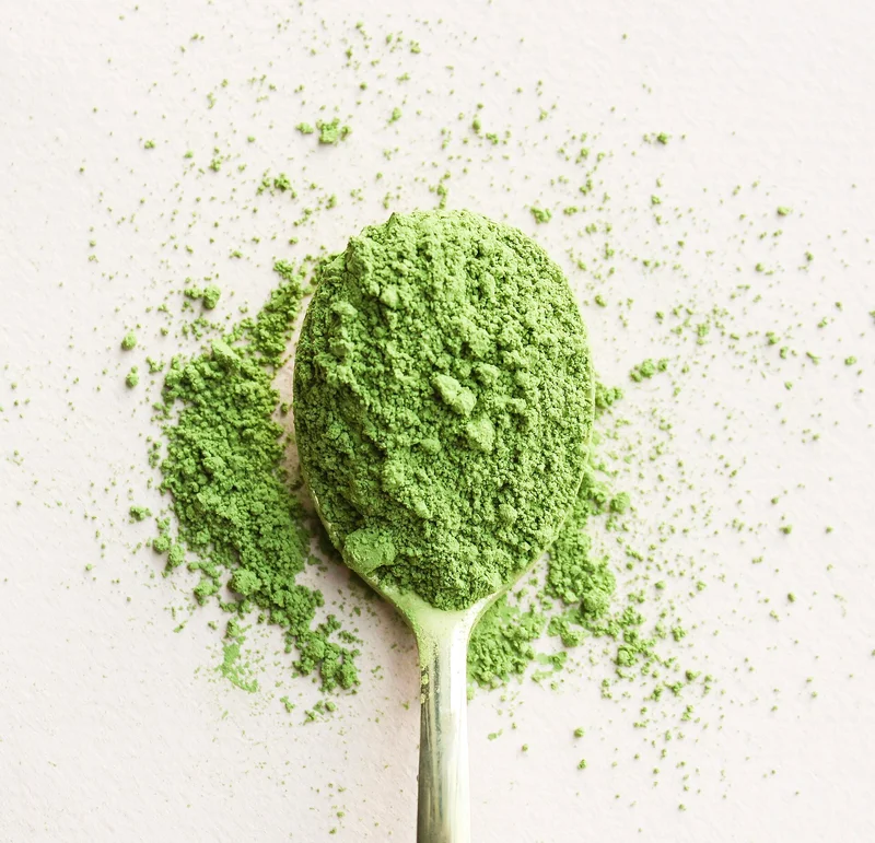 Matcha Scoop