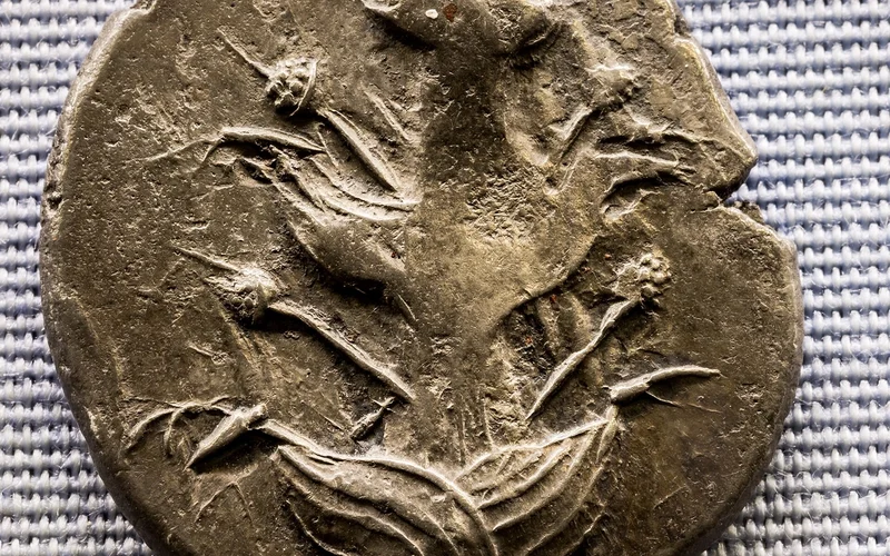 Moneda antigua de plata con la representación grabada de una planta de silfio.
