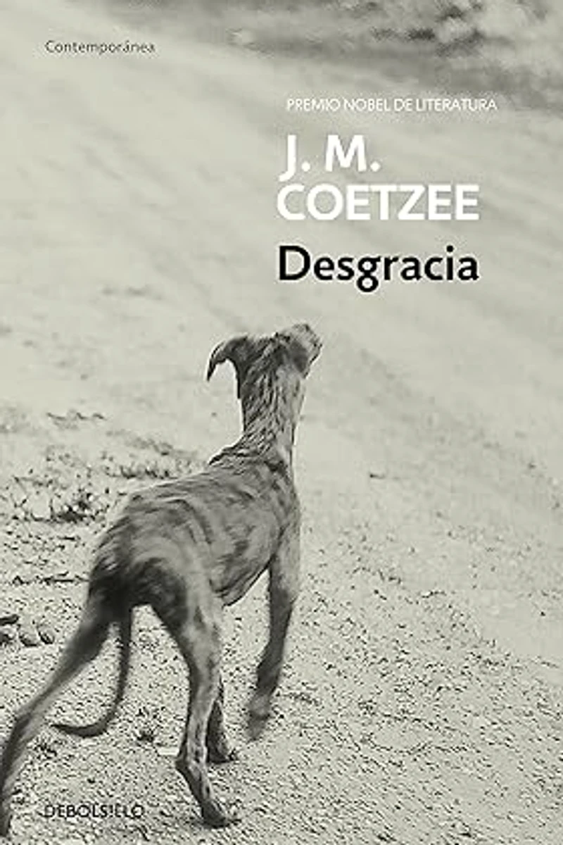 Portada de Desgracia (Contemporánea)