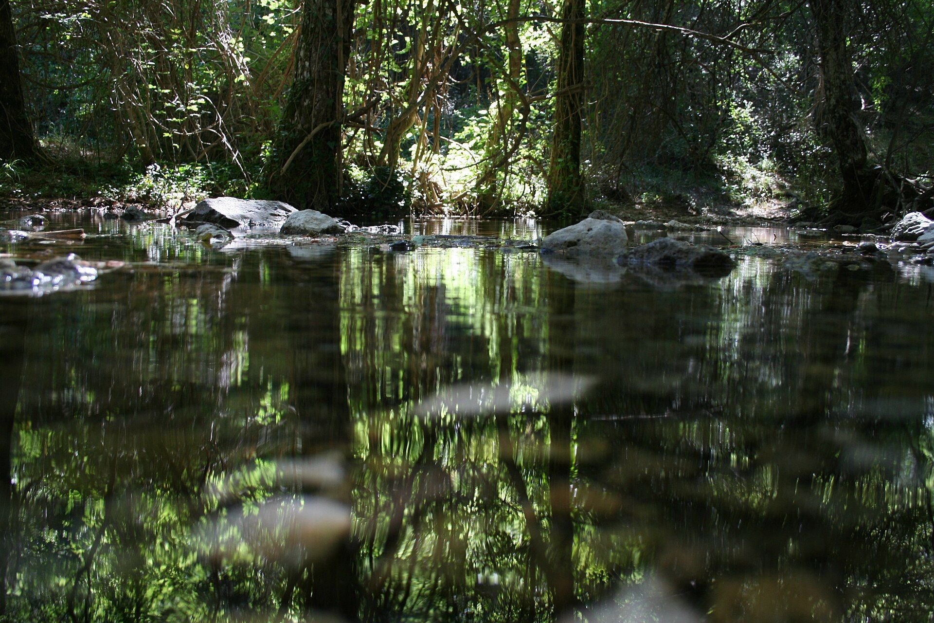 Sierra de Alcaraz y Riópar