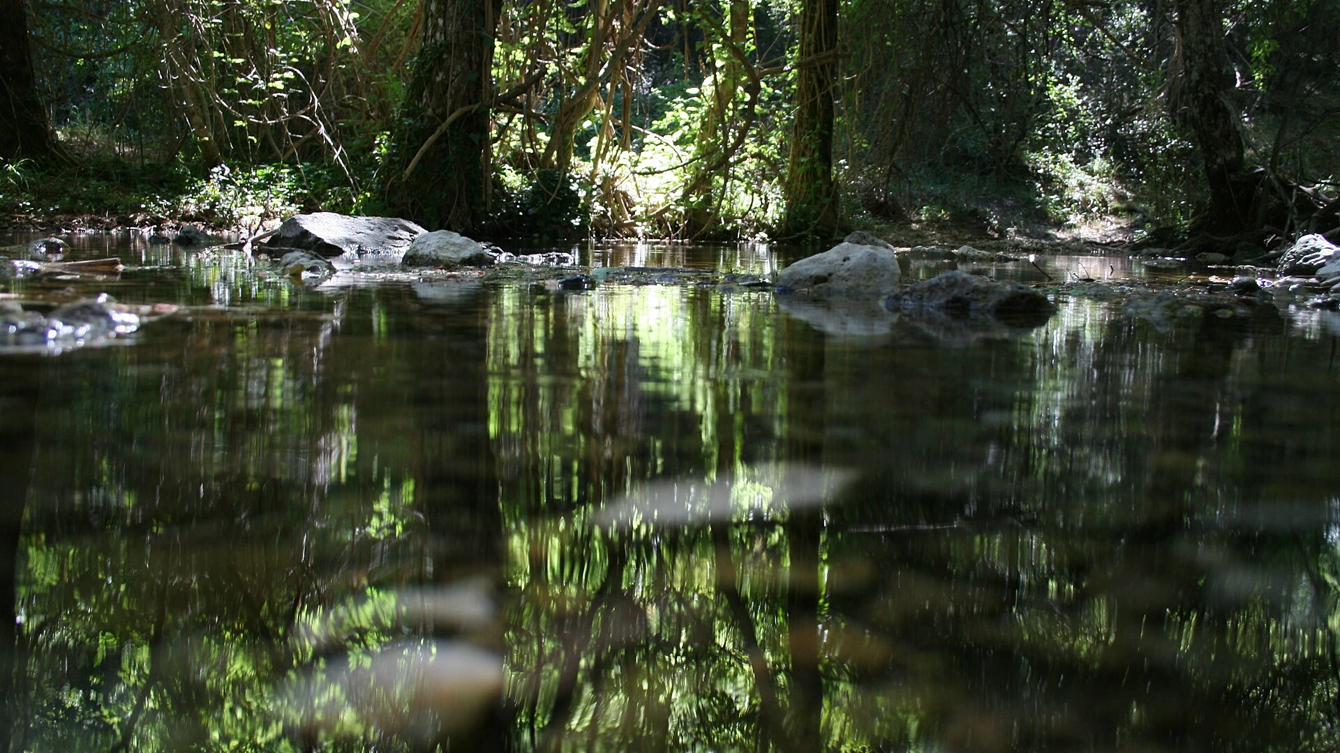 Sierra de Alcaraz y Riópar