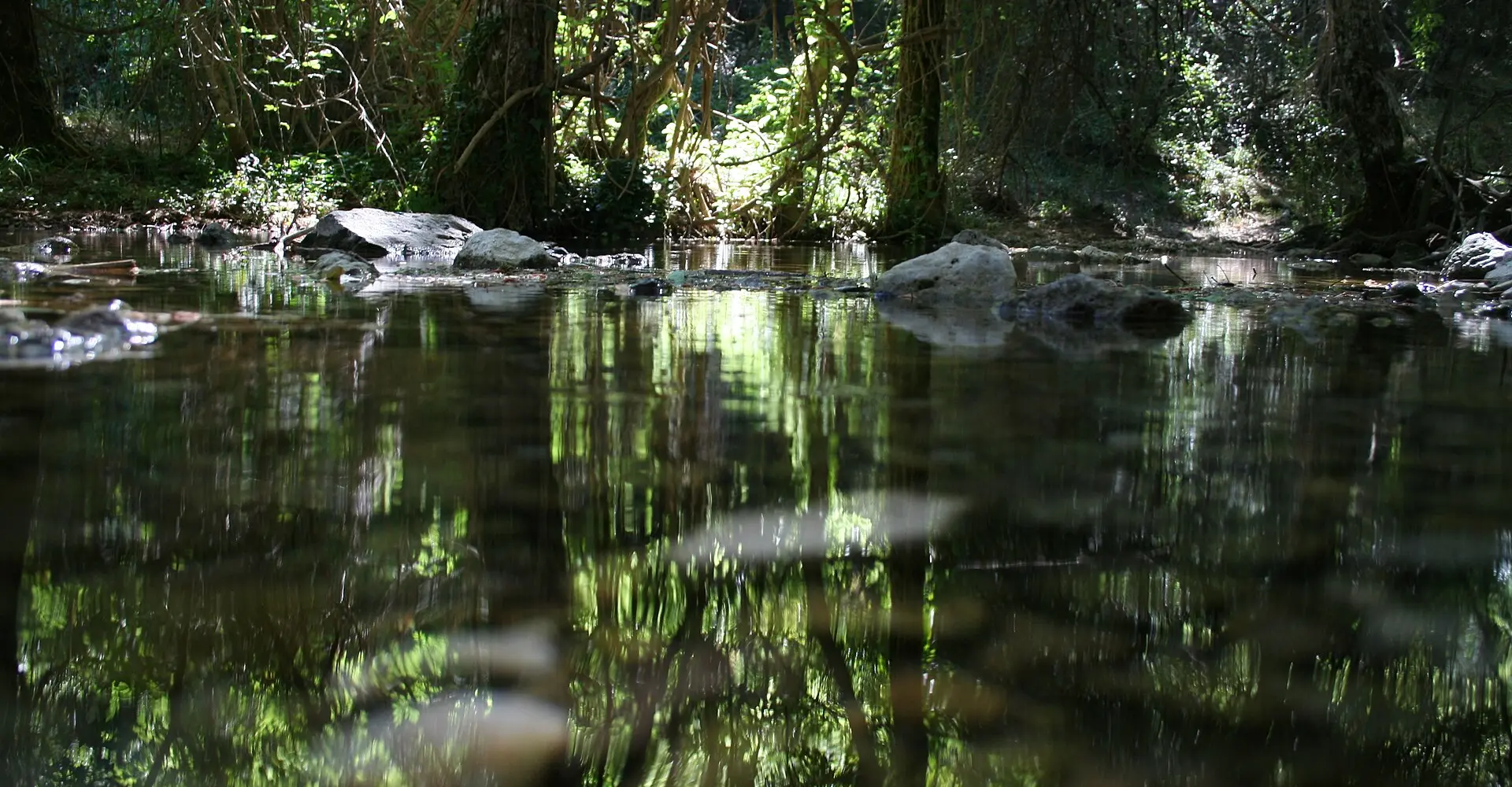 Sierra de Alcaraz et Riópar