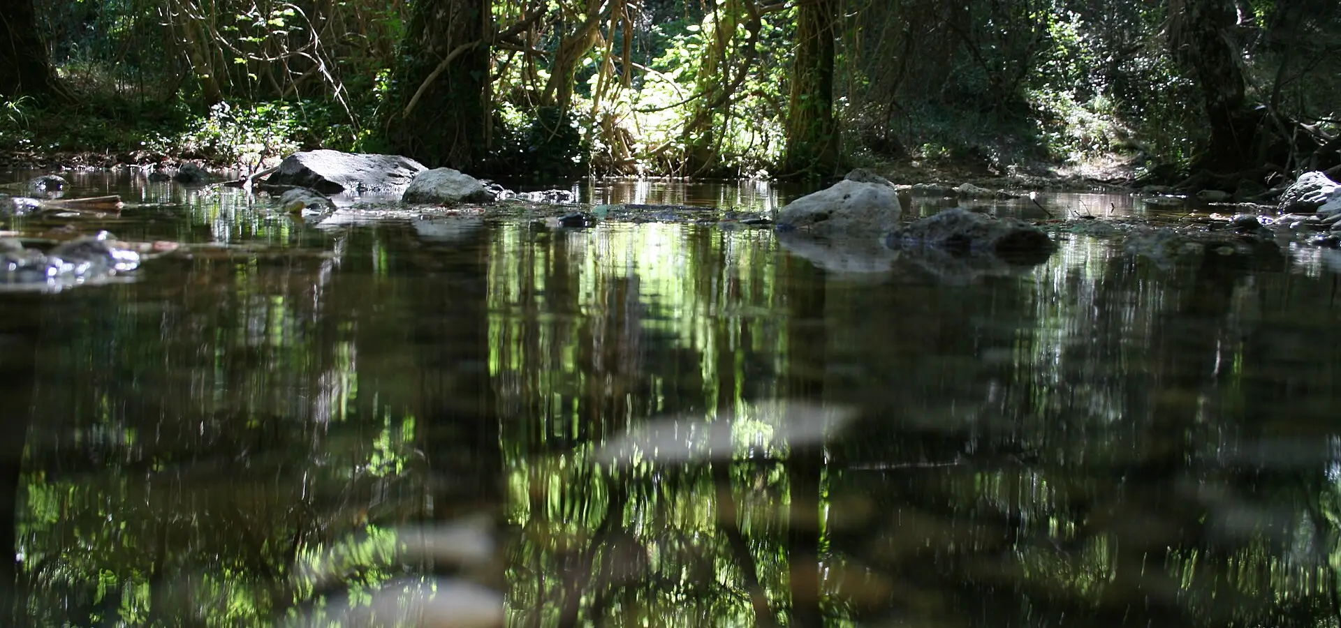 Sierra de Alcaraz and Riópar