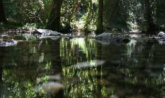 Sierra de Alcaraz et Riópar