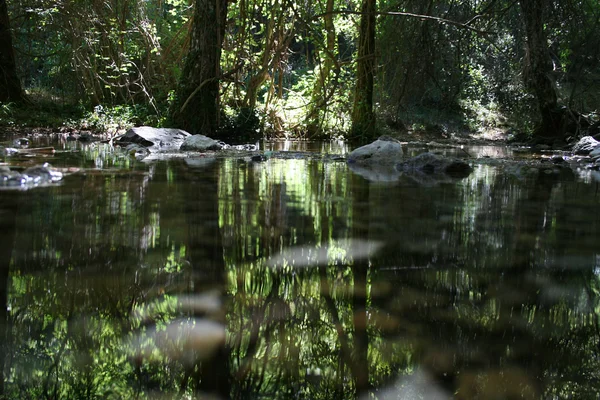 Sierra de Alcaraz y Riópar
