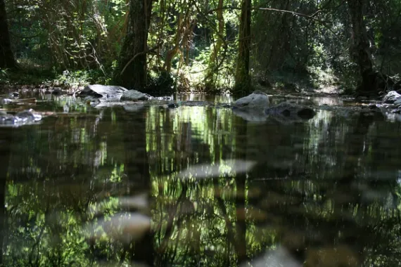 Sierra de Alcaraz et Riópar
