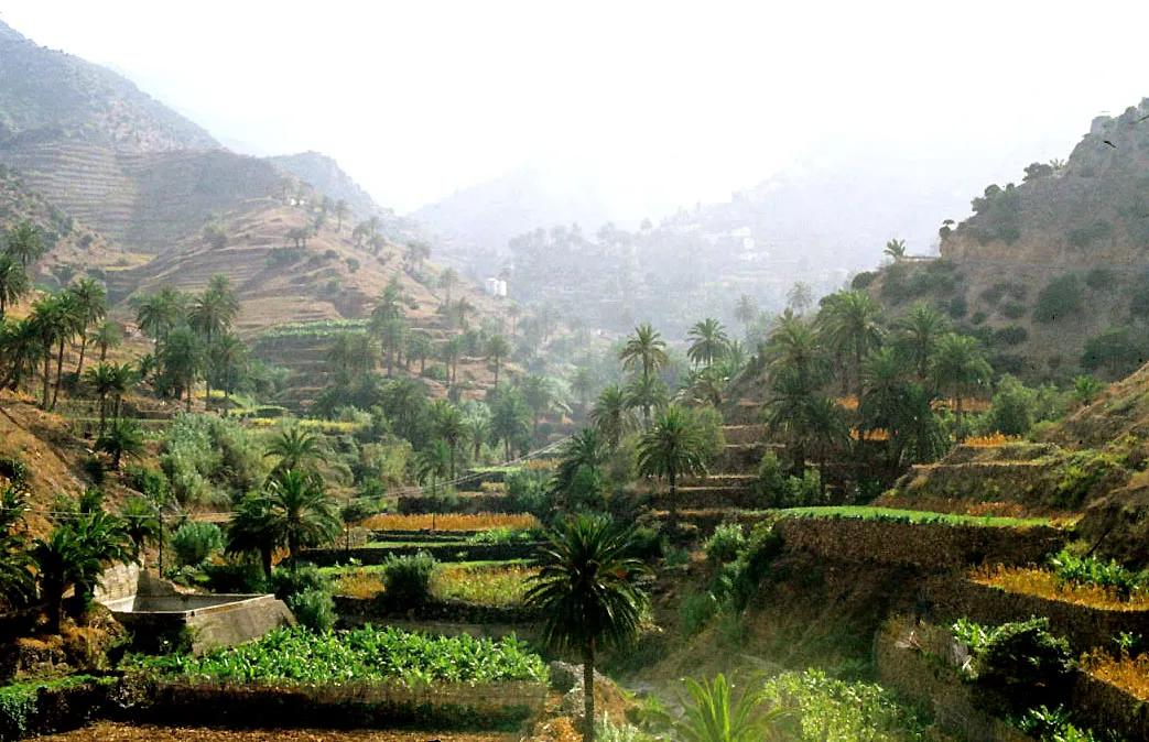 2 días en La Gomera: una joya silvestre entre volcanes, bosques y silencio
