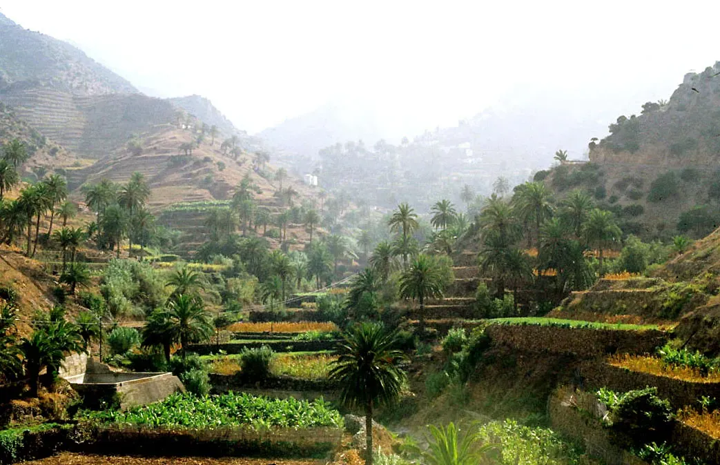 Paisaje de La Gomera con terrazas cultivadas escalonadas entre montañas rocosas, palmeras y vegetación verde en un valle silvestre