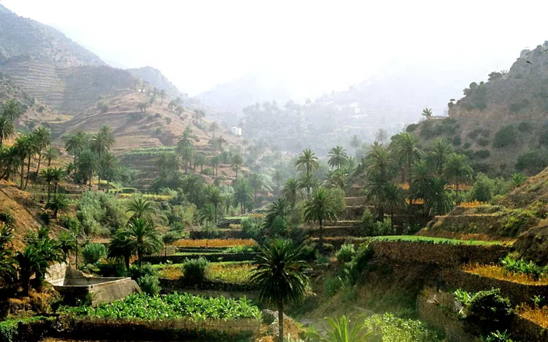 Paisaje de La Gomera con terrazas cultivadas escalonadas entre montañas rocosas, palmeras y vegetación verde en un valle silvestre