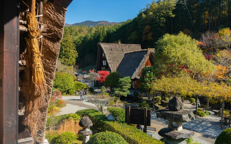 Vista de casas tradicionales japonesas con tejados de paja en un pueblo rodeado de árboles otoñales.