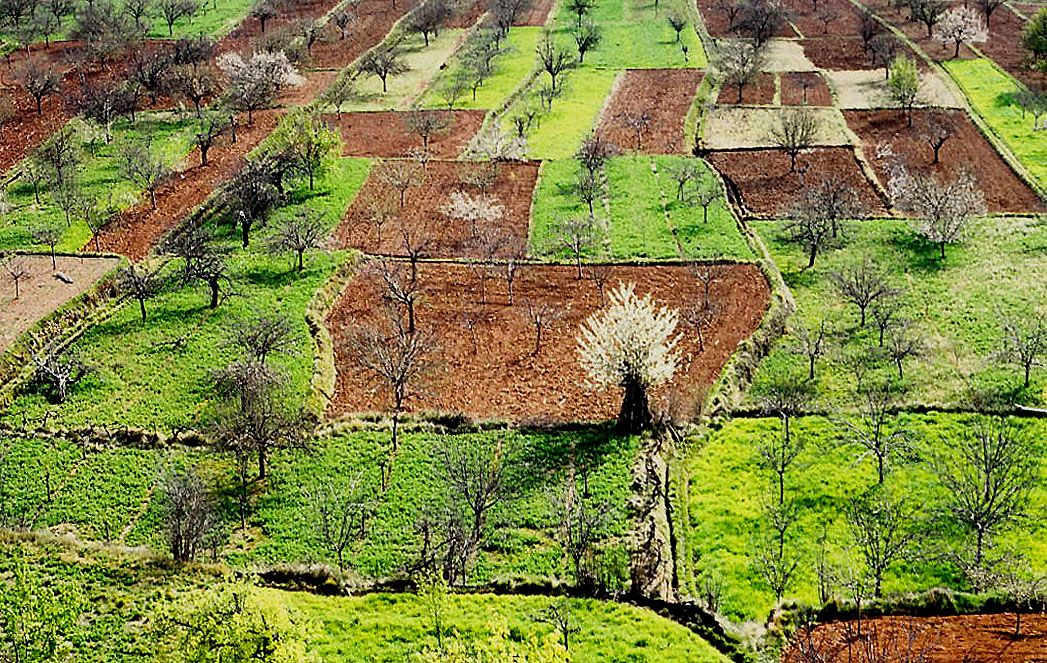 Chelva, Aras de los Olmos y Rincón de Ademuz