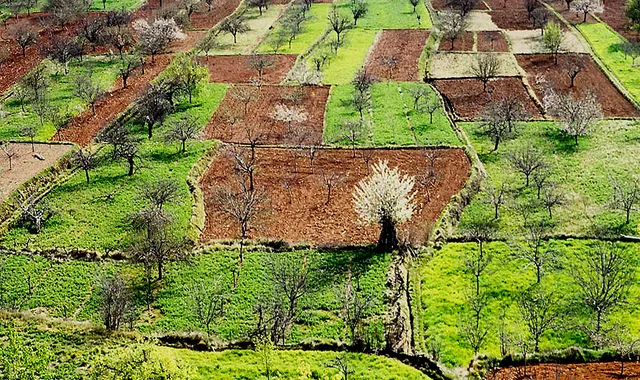 Routes de montagne à travers Chelva, Aras de los Olmos et Rincón de Ademuz