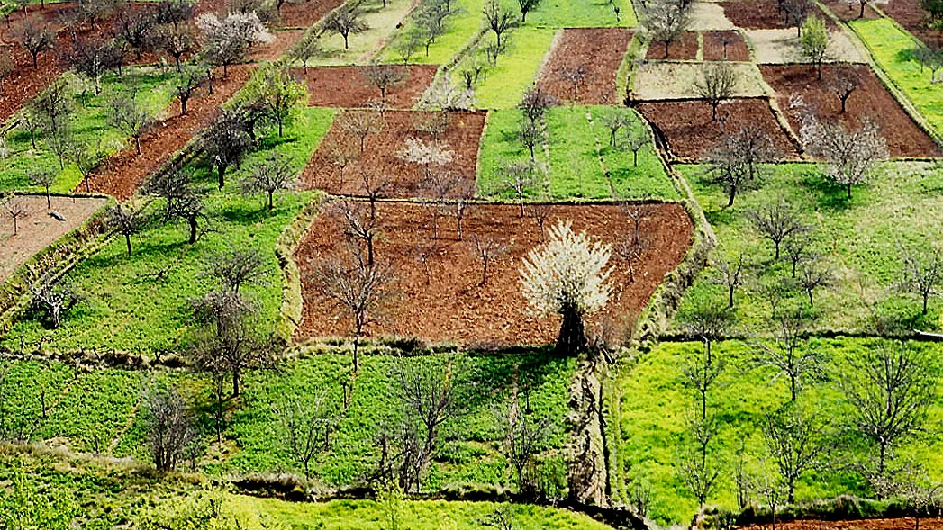 Chelva, Aras de los Olmos y Rincón de Ademuz