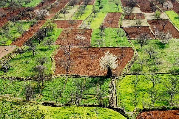 Chelva, Aras de los Olmos y Rincón de Ademuz