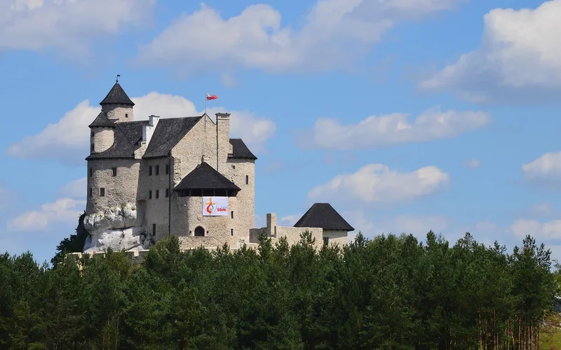 Castillo de piedra con tejados oscuros y una bandera, sobre un promontorio rocoso y bosque.