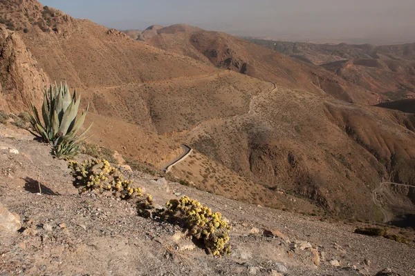 tizi-ntest-alto-atlas